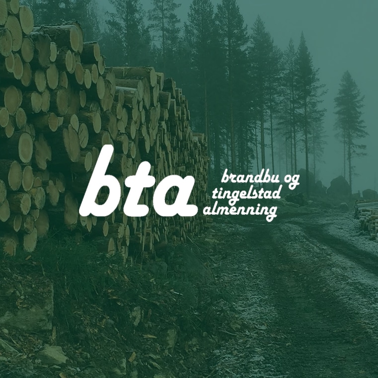Bilde av BTA