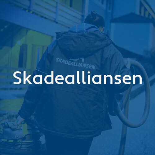Bilde av logoen til Skadealliansen